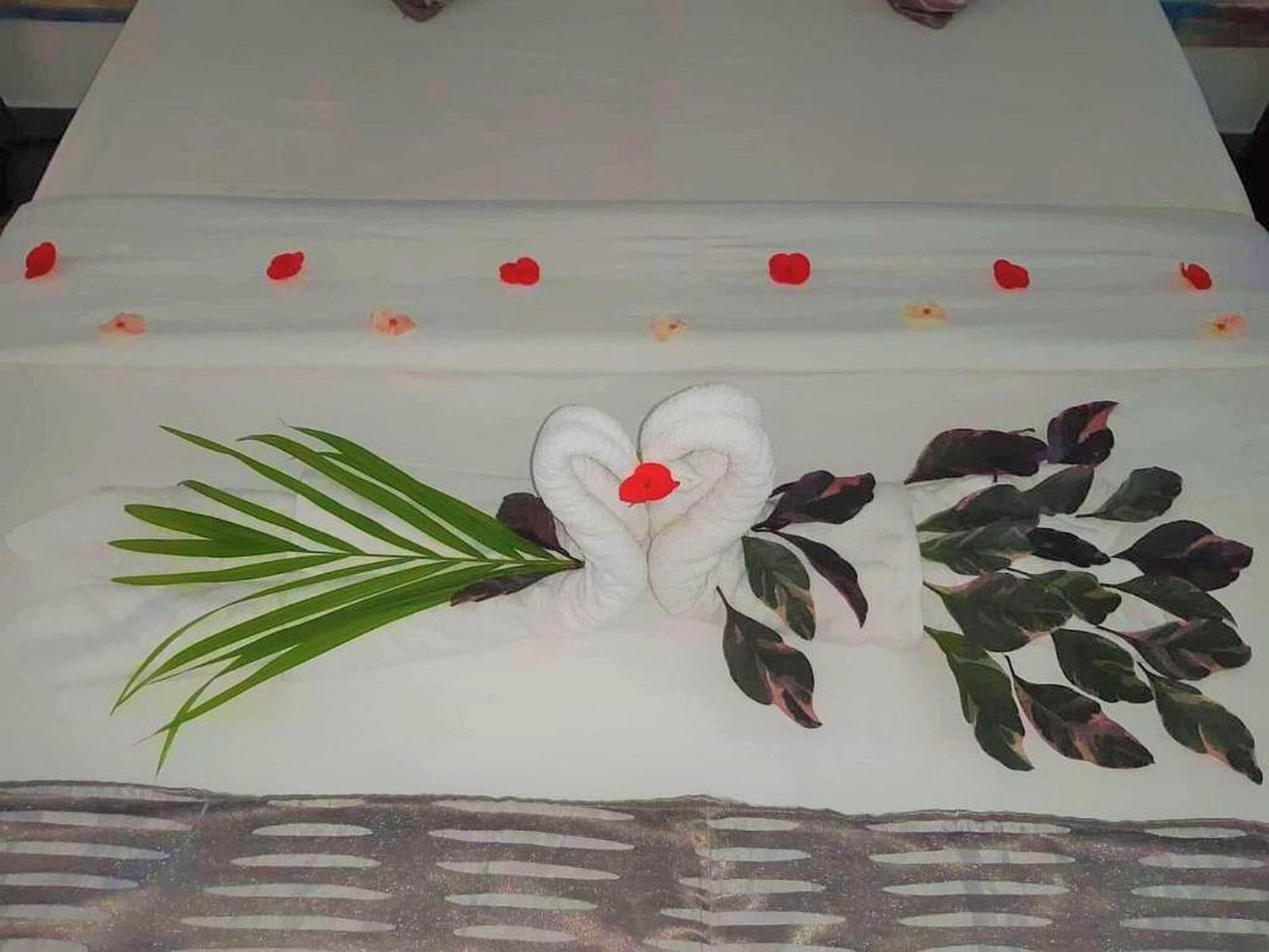 Bed and Breakfast Stella Rina Grand Baie Esterno foto
